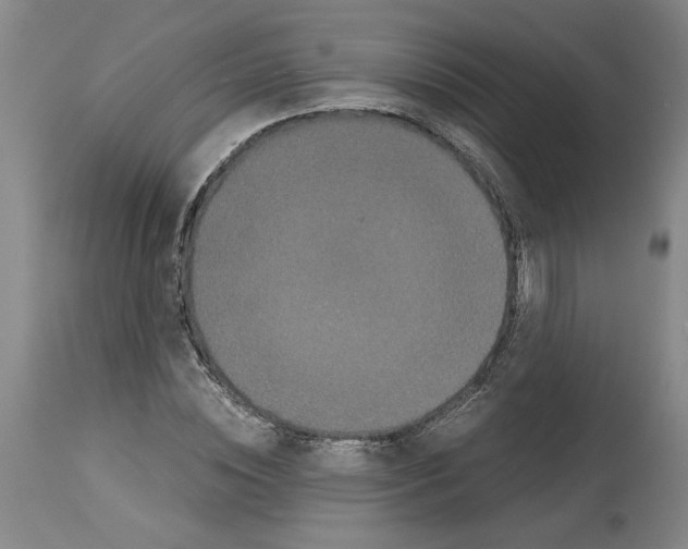 X0000113950828200911061302