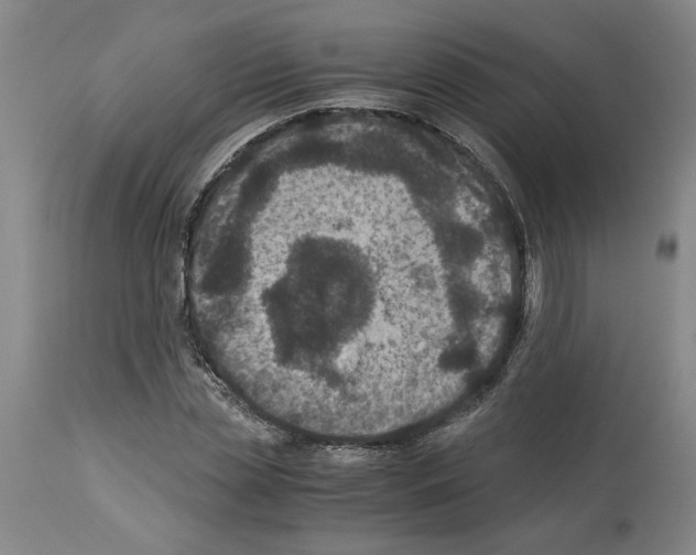 X0000113950829200911061302