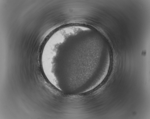 X0000113950830200911061302