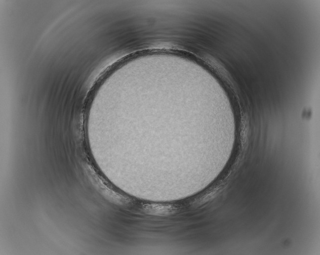X0000113950831200911061302