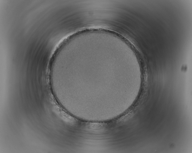 X0000113950832200911061302