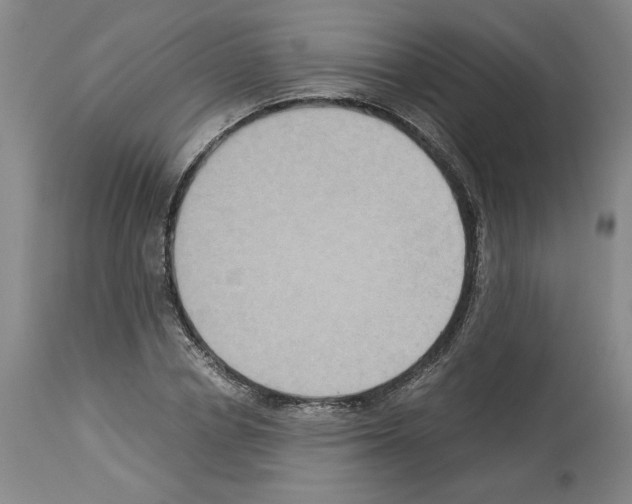 X0000113950834200911061302