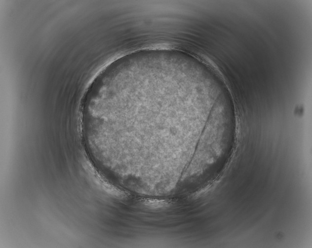 X0000113950835200911061302