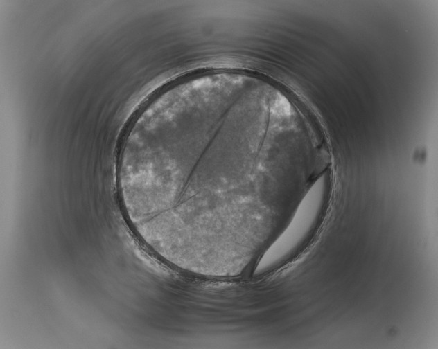X0000113950837200911061302