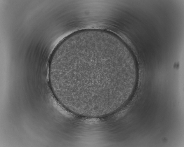 X0000113950838200911061302