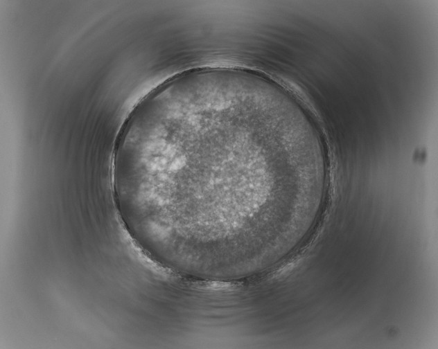 X0000113950839200911061302