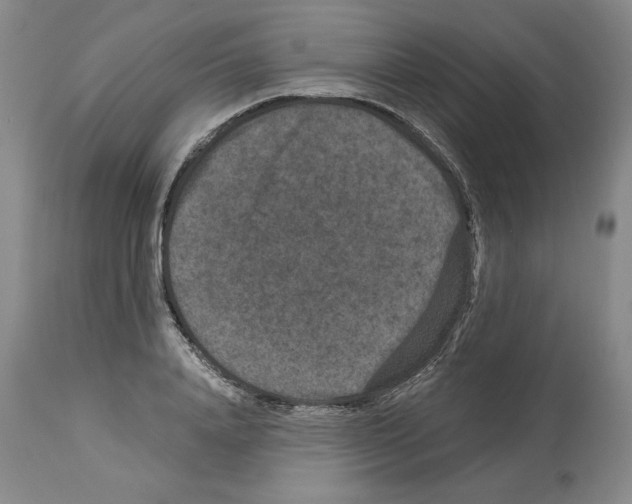X0000113950840200911061302