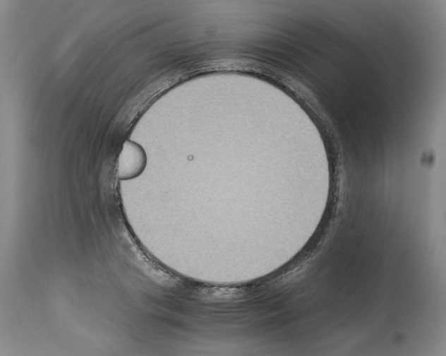 X0000113950841200911061302