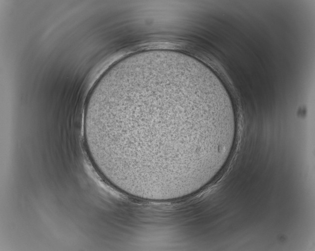 X0000113950844200911061302