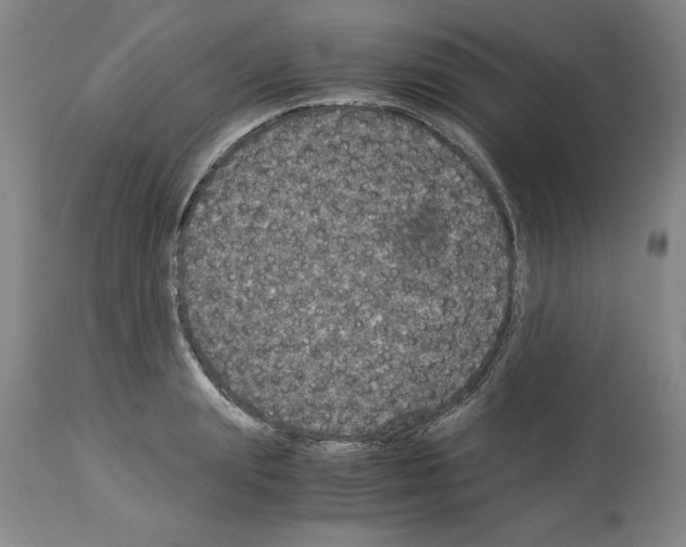 X0000113950847200911061302