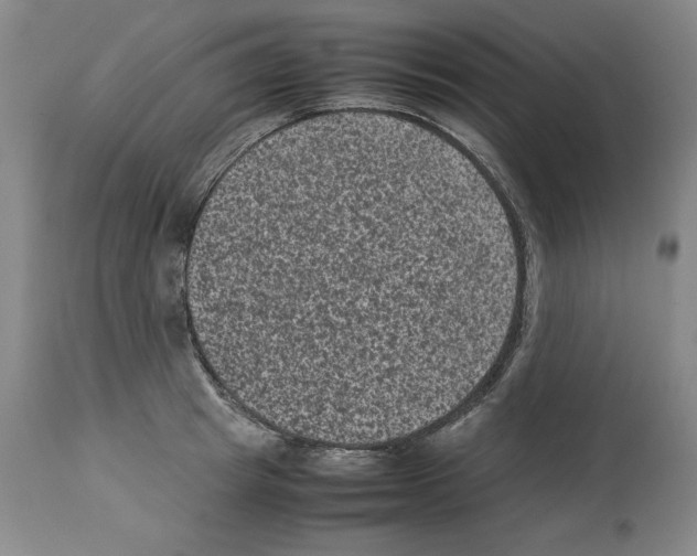 X0000113950849200911061302