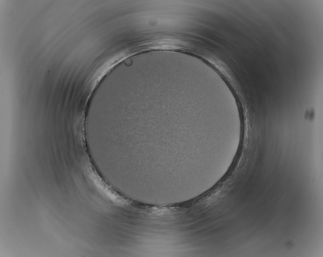 X0000113950850200911061302