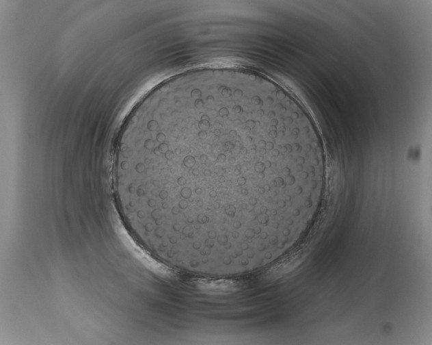 X0000113950851200911061302