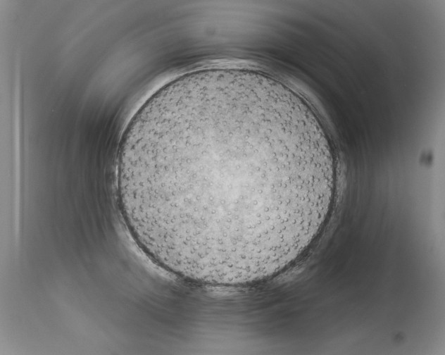 X0000113950852200911061302