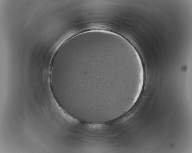 X0000113950853200911061302