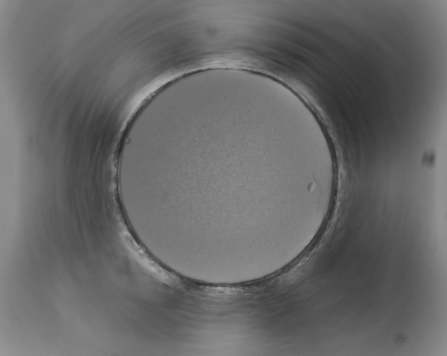 X0000113950854200911061302
