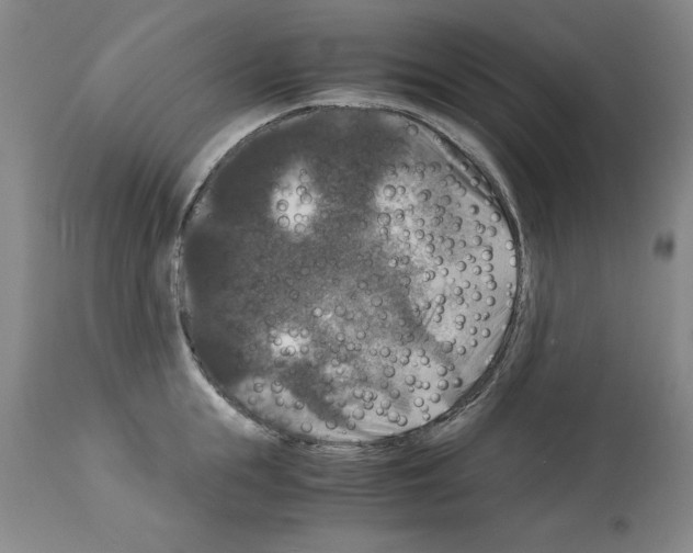 X0000113950855200911061302