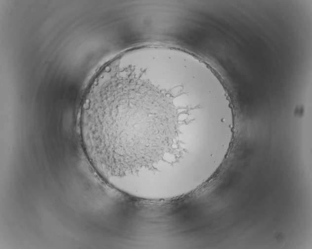 X0000113950856200911061302