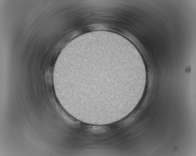 X0000113950857200911061302