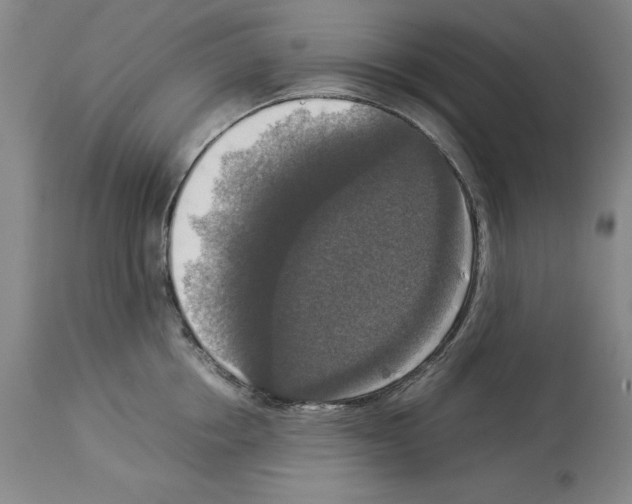 X0000113950858200911061302