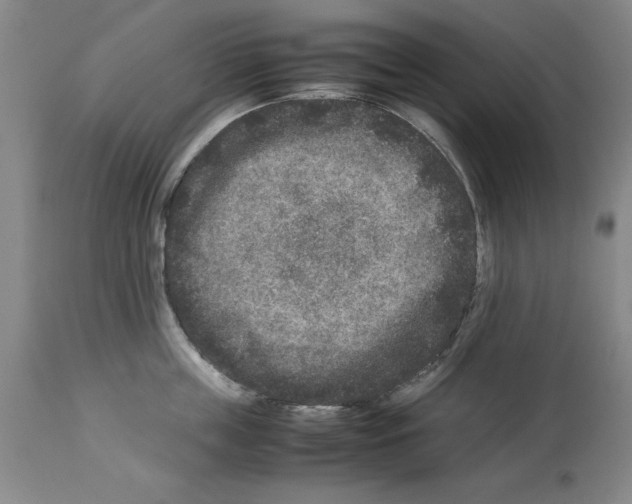 X0000113950859200911061302