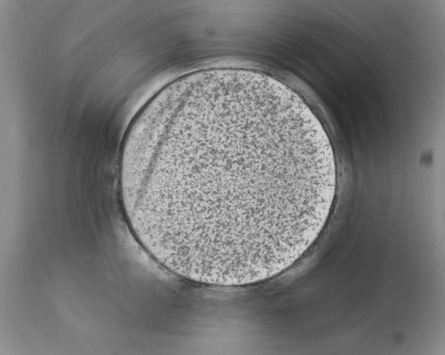 X0000113950860200911061302