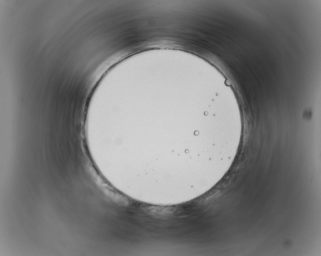 X0000113950861200911061302