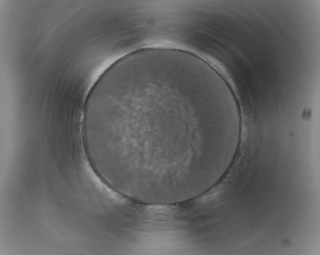 X0000113950863200911061302