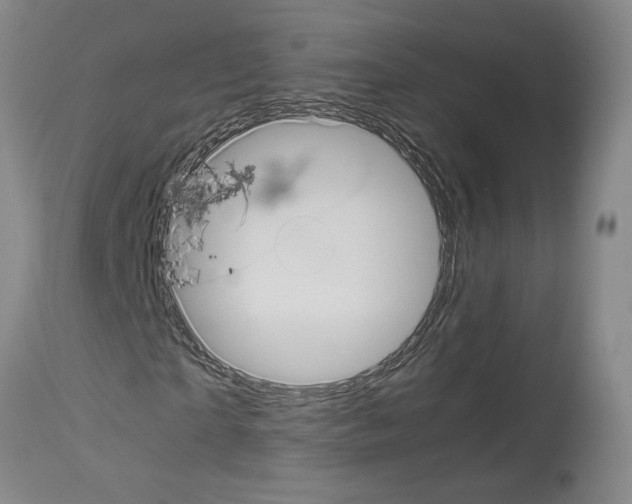 X0000113950865200911061301