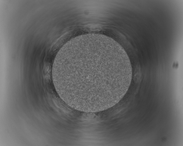 X0000113950866200911061301