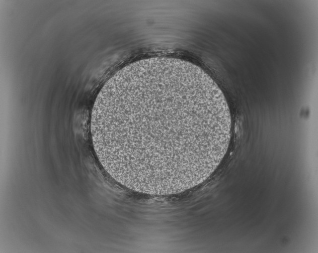 X0000113950867200911061301