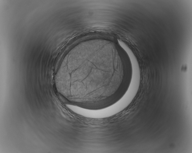 X0000113950868200911061301
