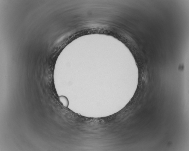 X0000113950869200911061301