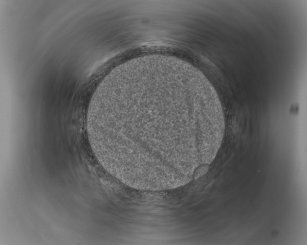 X0000113950870200911061301