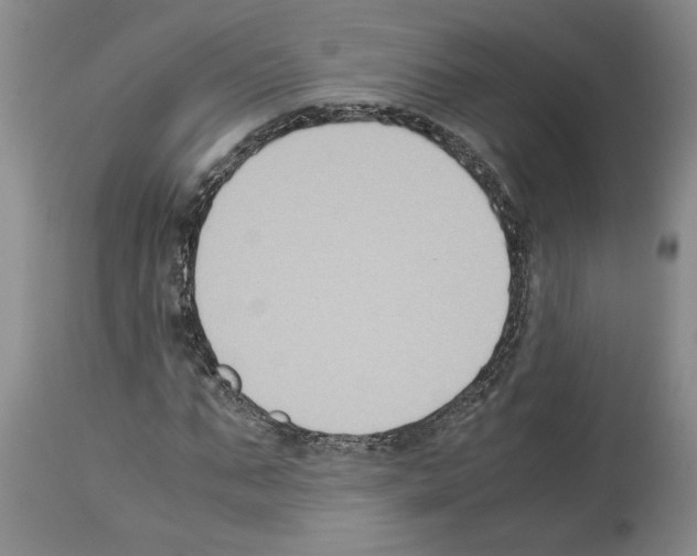 X0000113950871200911061301