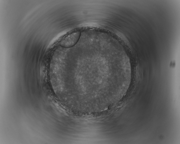 X0000113950872200911061301