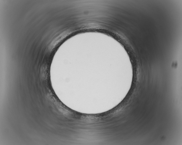X0000113950873200911061301