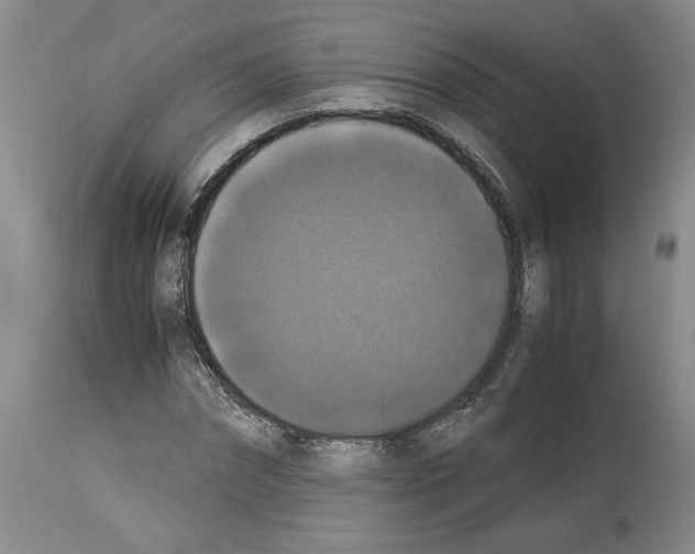 X0000113950874200911061301