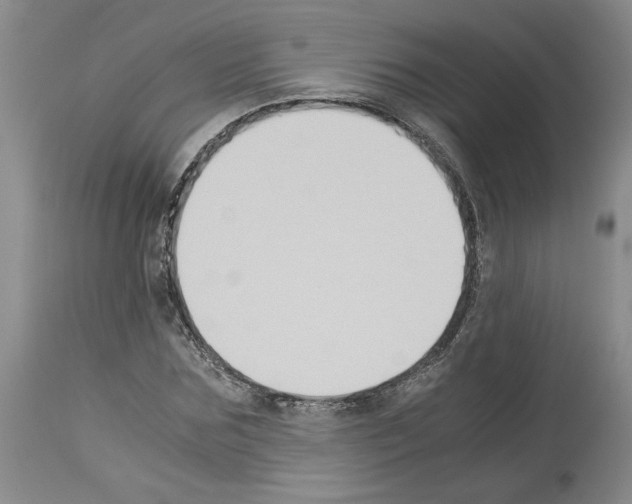 X0000113950875200911061301