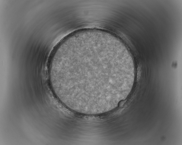 X0000113950876200911061301