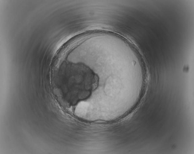 X0000113950877200911061301
