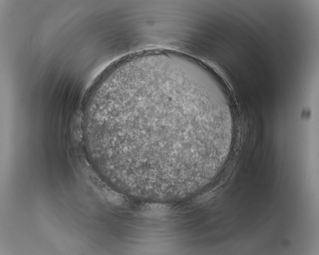 X0000113950878200911061301