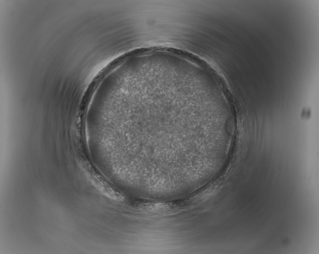 X0000113950879200911061301