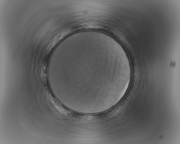 X0000113950881200911061301