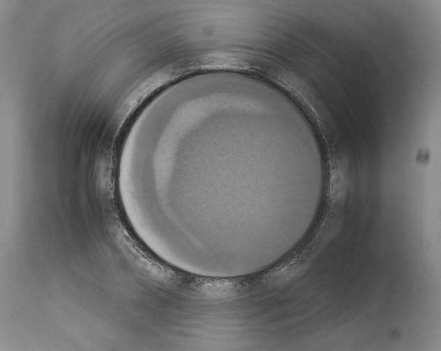 X0000113950882200911061301