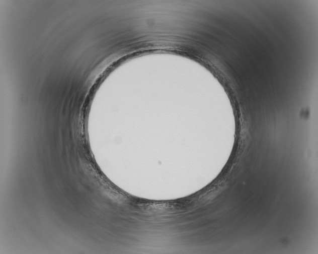 X0000113950883200911061301