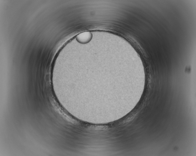 X0000113950884200911061301