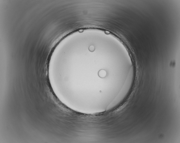 X0000113950885200911061301