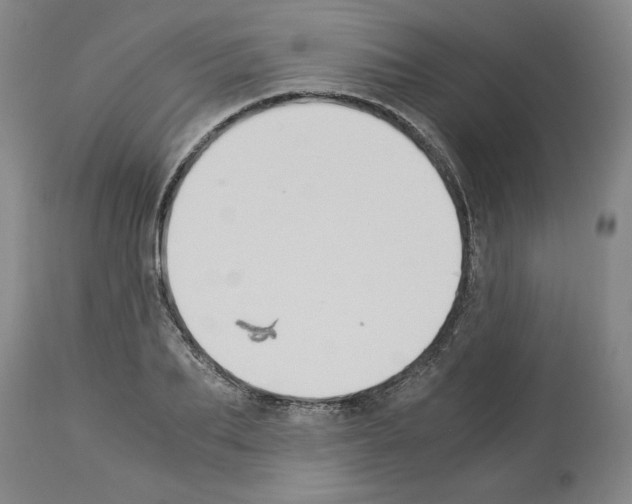 X0000113950887200911061301