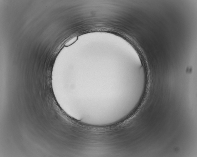 X0000113950889200911061301